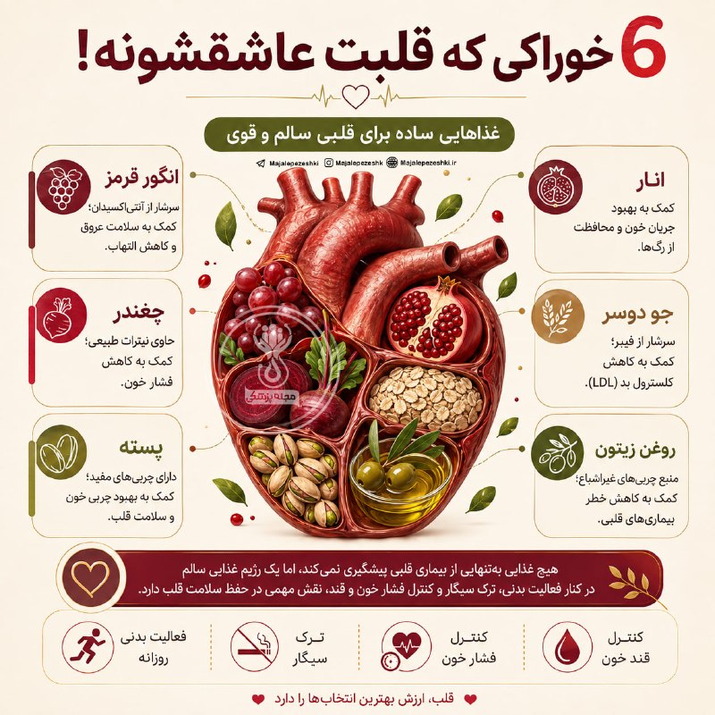 پزشک تلگرام: 6 خوراکی که قلبت عاشقشونه🫀📌 @Doctor_tel👩‍⚕