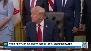Reporter: Freedom of the press is enshrined in the First Amendment.
