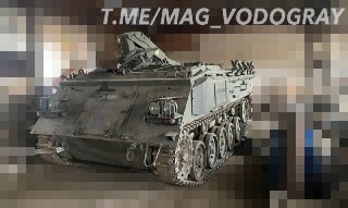 t.me