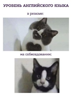 Боишься завалить собеседование или экзамен на английском? Или хочешь подтянуть язык с молодыми невыгоревшими преподами и без лишней зубрежки?Начни с бесплатного пробного урока: https://lentach.media/justdoit