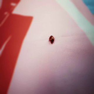 Маркет Маркета возвращается в Москву! И не просто на выходные, а на всё лето Это фестиваль локальных брендов от Яндекс Маркета. До 6 сентября на Бо... - изображение 1 - маркета, брендов, telegram