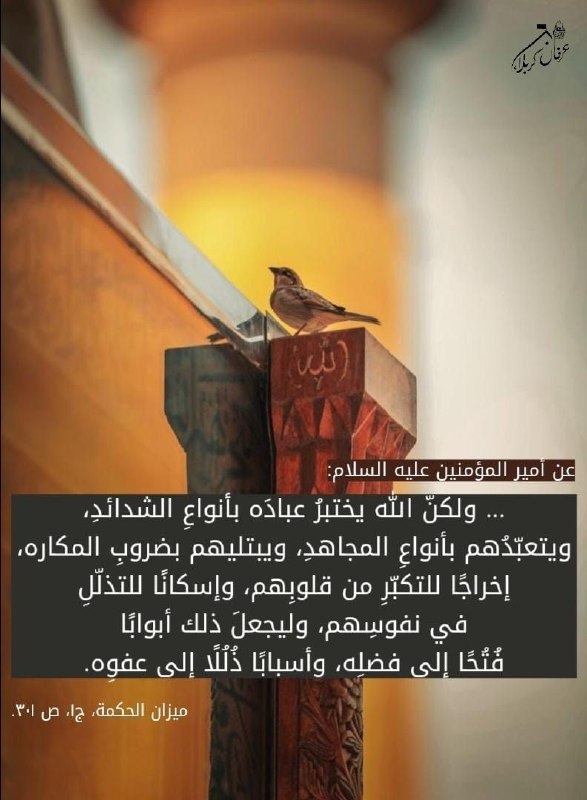 الباقيات الصالحات: ﷽✍عن أمير المؤمنين عليه السلام:... ولكنّ الله يختبرُ عبادَه بأنواعِ الشدائدِ،ويتعبّدُهم بأنواعِ المجاهدِ، ويبتليهم بضروب