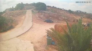 הדיווח המקורי ריק מתוכן.