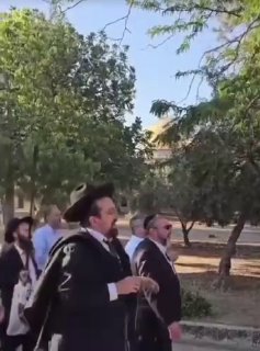 584 מתנחלים הסתערו על חצרות מסגד אל-אקצא במהלך פשיטות הבוקר היום.