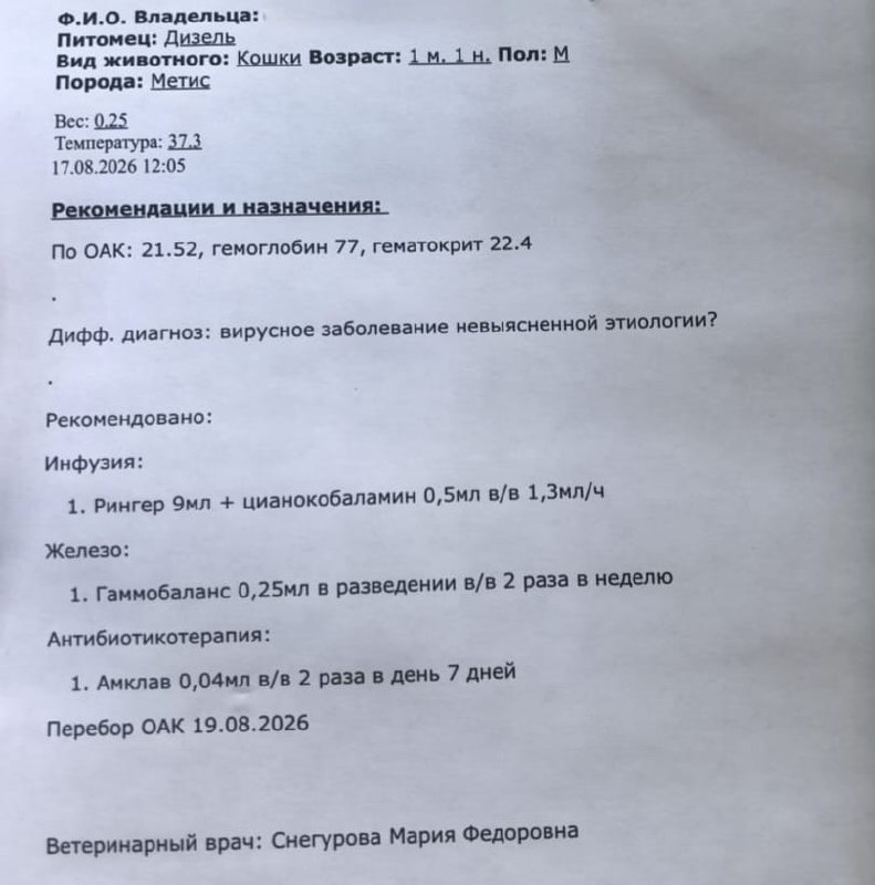 Помогите спасти малыша!
У нашего волонтёра на...