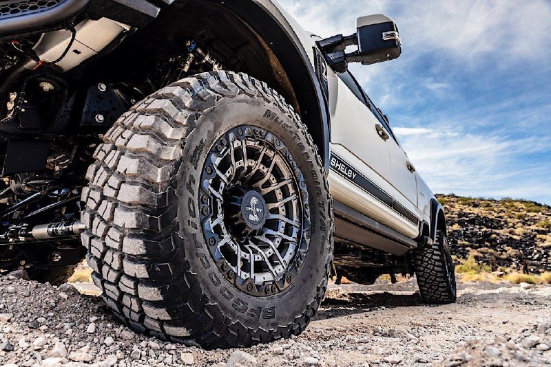 Ford Shelby F-250 Super Baja 4