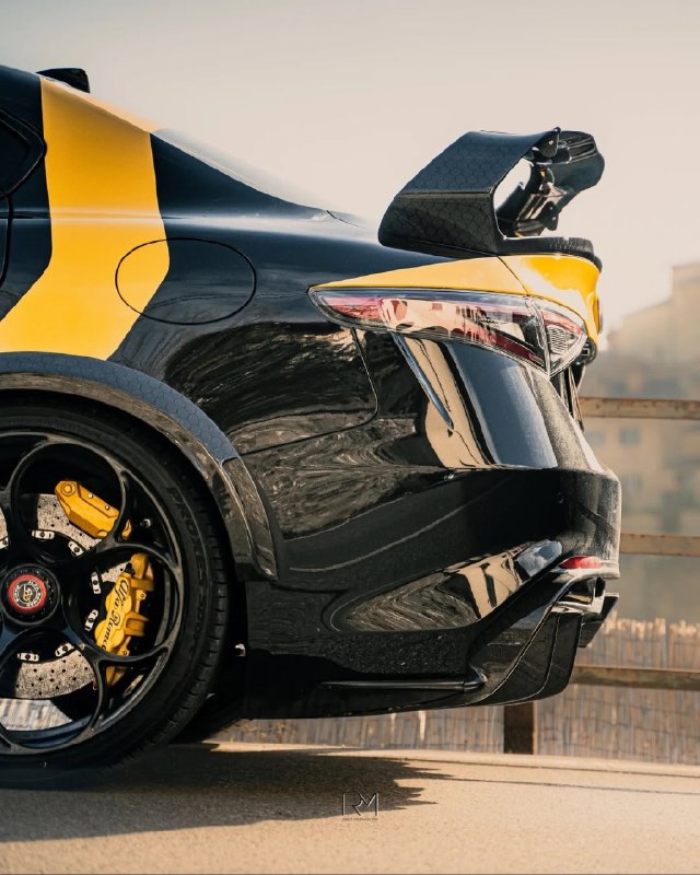 Alfa Romeo Giulia GTAm 7