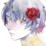 hoshirose.art
