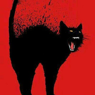 Кот Бегемот Telegram Group Link