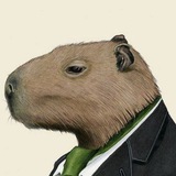 CapyCrypto