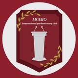 Международный парламентский клуб в МГИМО