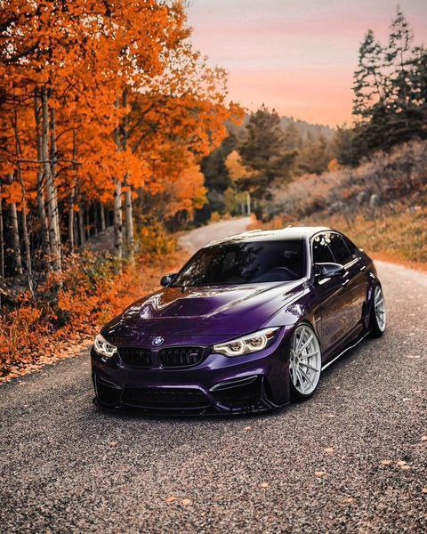 https://t.me/bmw_mpower_club