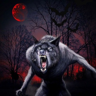 🐺gorgine🐺 Telegram Group Link