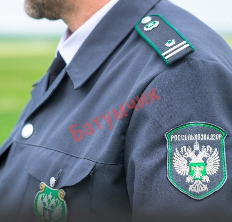לך לעבודה מומחים רוסים יגיעו לגאורגיה כדי לבדוק מוצרים חקלאיים ומעבדות המשלחת של רוסלחוזנדזור הרוסי מתכננת…
