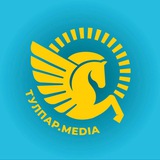 Тулпар.Media