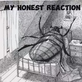 metamorphosis