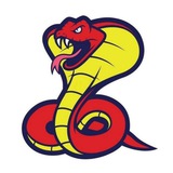 Логотип Python работа