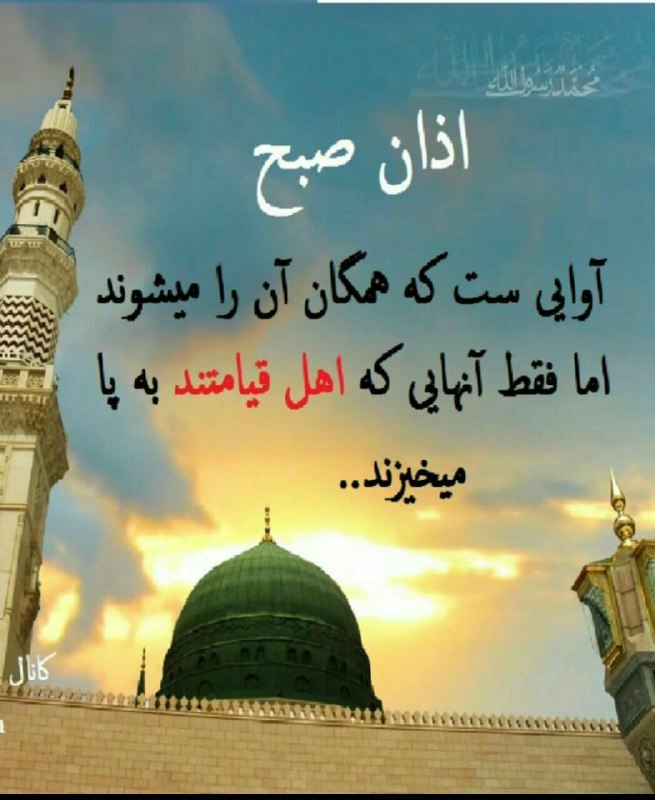 ذڪـر رۅزانـہ: ᪥࿐🏵❤️﷽❤️🏵࿐᪥ 