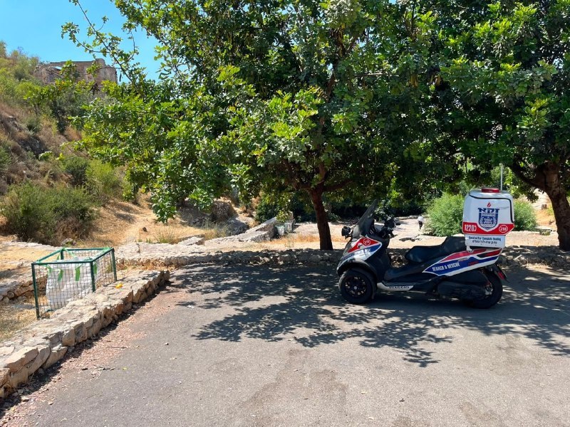 ענבר טויזר