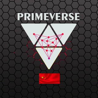 PrimeVerse China 🇨🇳 || KYC & AUDIT🏅 || 2000x 🔥 🚀