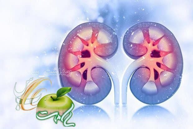 🌹 شبنم 🌹: تغییر شیوه زندگی برای پیشگیری از سنگ کلیه✍نوشیدن آب فراوان در طول روز به اندازه‌ای که احساس تشنگی نداشته باشیم و ادرار ب