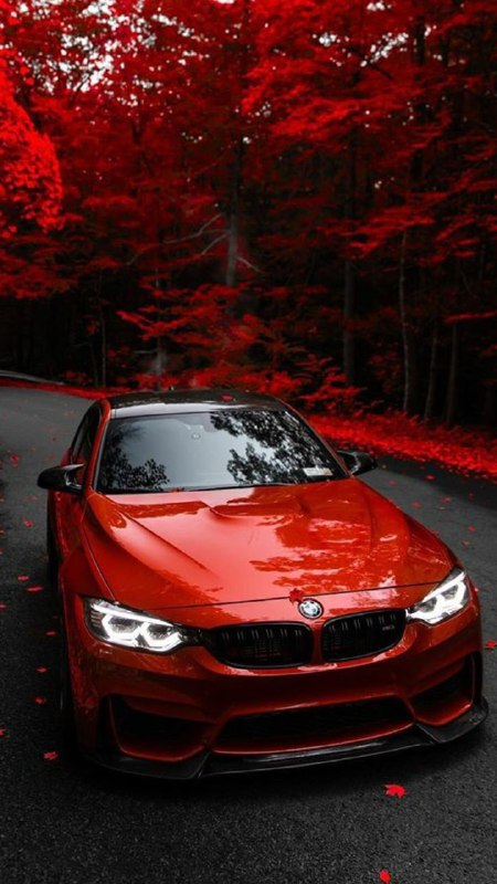 https://t.me/bmw_mpower_club