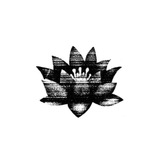 ˚.⋆꒰১ ໒꒱⋆.˚