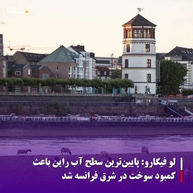 خبرگزاری بین المللی شفقنا: 🔴لو فیگارو: پایین‌ترین سطح آب راین باعث کمبود سوخت در شرق فرانسه شد◀️سطح آب رودخانه راین به پایین‌ترین حد تاریخی خود رسی