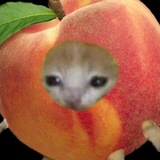 Peach Factory