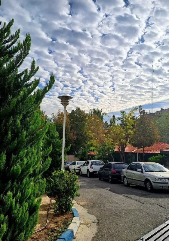 اصفهان کاریابان: 😍ای خوبانِ روزگار سلام 👋صبح زیباتون با طراوت🦋خنده کن هر صبح 🐠بر رخسارهٔ نیکوی عشق🦋خانهی دل را گلستان کن 🐠به عطر و بوی ع
