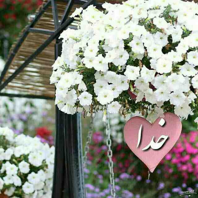 کدکیهانی: خدایا!!!مرا ببخشبه خاطر تمام لحظه هایی که تو با من بودی و من فکر می کردم تنها هستم....
