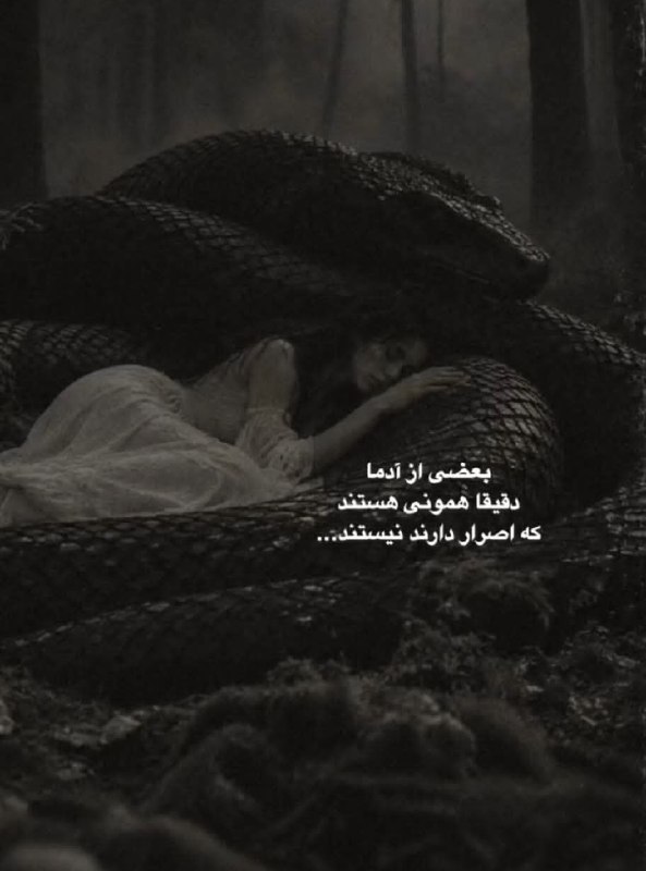 👑 شهر عکس 👑: 💜 @shahreeaks 💜