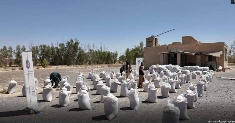 خبرگزاری صدای افغان (آوا): 🛑توزیع کمک‌ برای صدها خانواده آسیب‌دیده از سیلاب در نیمروز🔸ریاست آمادگی مبارزه با حوادث ولایت نیمروز اعلام کرد که برای ص