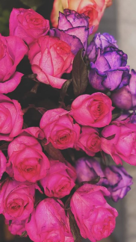 سیروان پرس: روژباش کۆردستان📆 ئەمڕۆ چوارشەممە 🌾🌹٢۸ی گەلاوێژی 2726ی کوردی🌾🌹٢۸ی موردادی 405ی هەتاوی🌾🌹١۹ی ئاگۆستی 2026ی زایینی🌾🌹۰۶ی ڕەبی