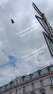t.me
