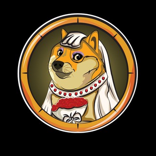 DOGE WIFE 💍 Support the marriage! Telegram Group Link