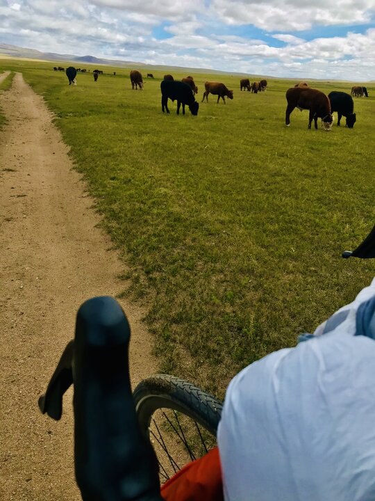 蒙古國單車日記7-路總是要選難的那一條