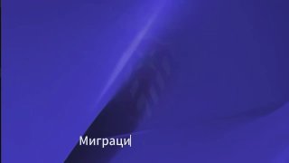 В московском метро с помощью «новейших технологий» задержали около 140 мигрантов. Их планируют выдворитьПолиция задержала около 140 иностранцев во время рейда на одной из станций московского метро. Для их поиска использовали систему, которую МВД называет «