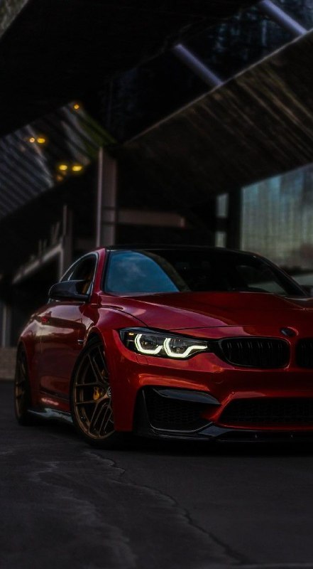 BMW M Powerhttps://t.me/bmw_mpower_club#bmw #mpower #bmwmpower #bmwworld #bmwmpo