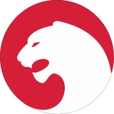 Сеть АЗС ИРБИС