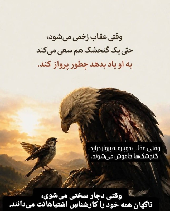 میگون قصر بهشت: رسانه پست