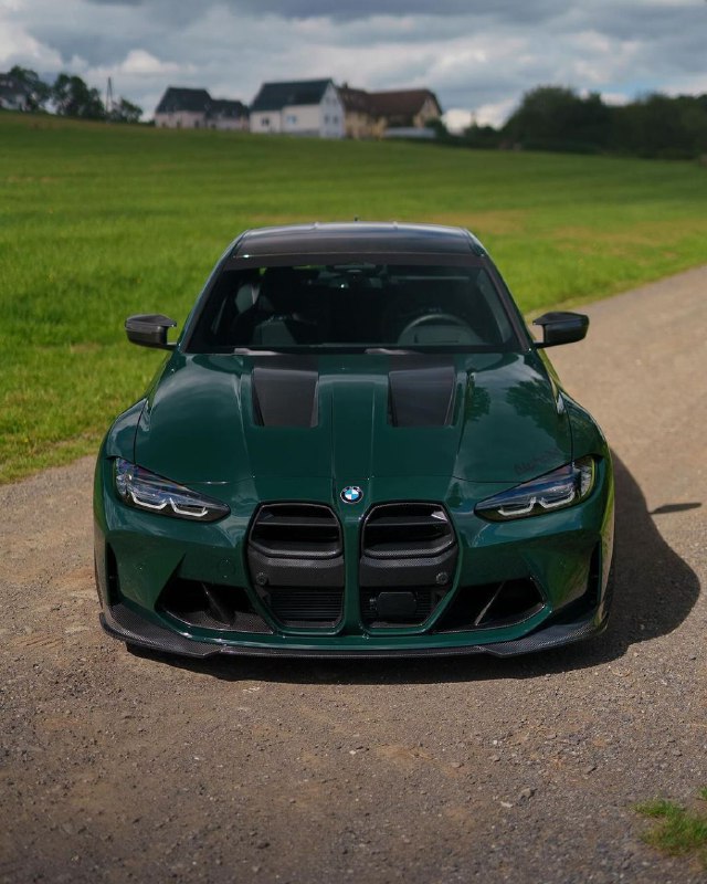 🦎 BMW M3 Alpha-N 🦎