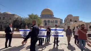 דחוף: מתנחלים מרימים את דגלי הכיבוש במהלך הפלישות המסיביות לאל-אקצא, בחסות משטרת הכיבוש