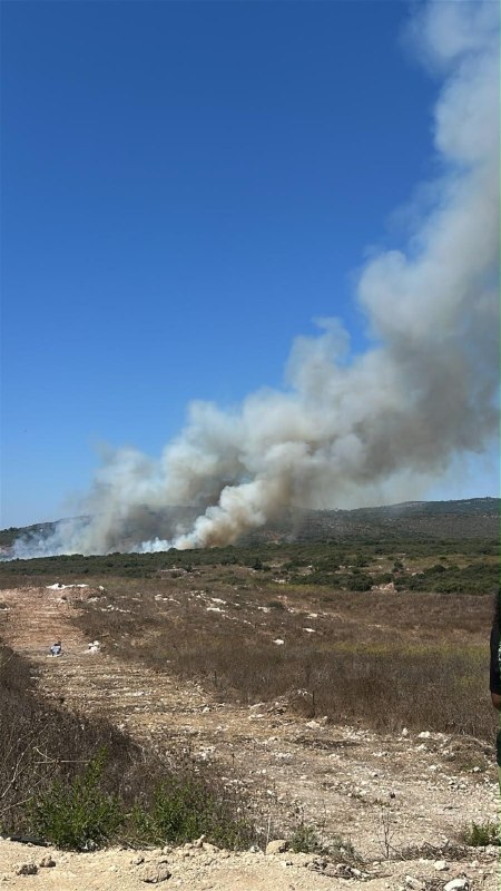 אור רביד