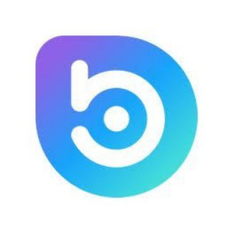 BORA official Group