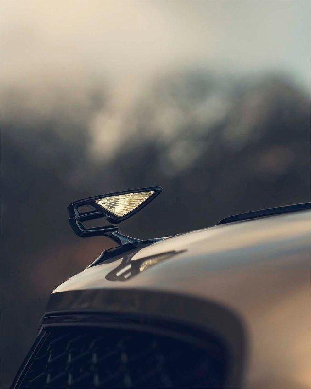 Bentley Flying Spur 2