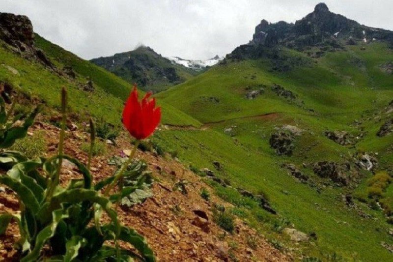 پایگاه خبری ساکاپرس، سنوور،نشریه عصر هنر: 💐ڕۆژ باش وڵاتم🗓 ئەمڕۆ دووشەممە🌾 ۲٦ی گەلاوێژی ۲۷۲٦ی کوردی🌾 ۲٦ی موردادی ۱٤۰٥ی هەتاوی🌾 ۱۷ئووتی جولای ۲۰۲٦ی زایینی🌾 ٥ی ڕەبیع