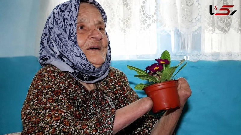 آژانس خبری رکنا | Rokna NEWS Agency: 🔶 فیلم / شوهر این زن دستانش را با داس قطع کرد چون به عروس هدیه داده بود / 24 سال بعد شوهرش با گلوله کشته شد 🔸 داستان زند
