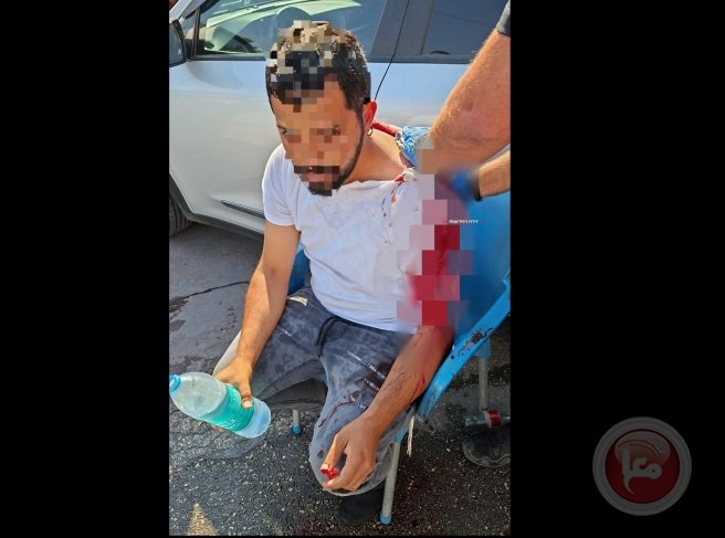 Settler stabbed near Jericho