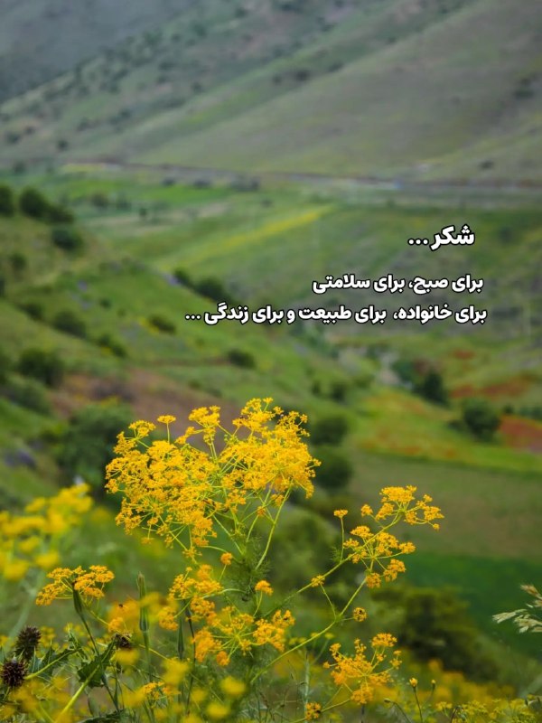 ️گالری عکس و پروفایل: ⭐️@aks_profilestar